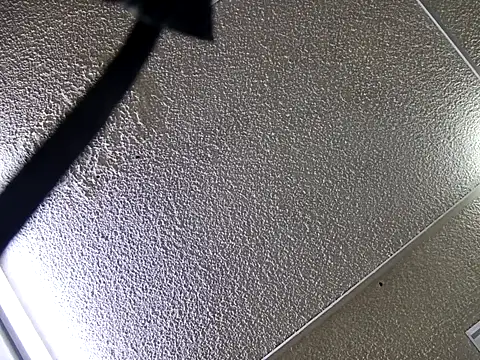 yajahil online show from 11/28/25, 07:36