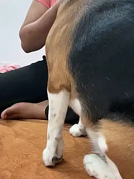 Snapshot of sissarahotty chatting on 02/02/25, 11:21 sissarahotty online show from 02/02/25, 11:21