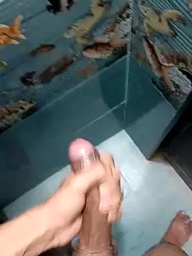 Mr joh online show from 02/07/26, 05:26