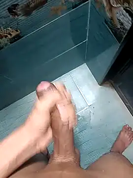 Mr joh online show from 02/03/26, 05:49