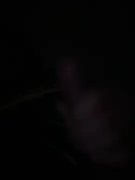 Snapshot of wolfwhite95 chatting on 09/22/25, 01:44 wolfwhite95 online show from 09/22/25, 01:44