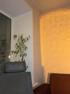 saint cat25 online show from 03/04/26, 07:43