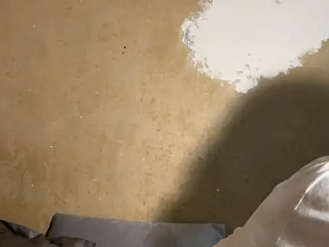 saint cat25 online show from 02/18/26, 09:22