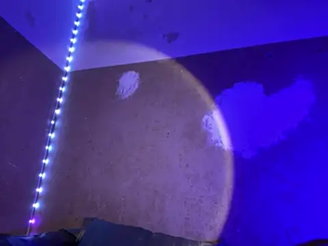 saint cat25 online show from 03/27/26, 10:43