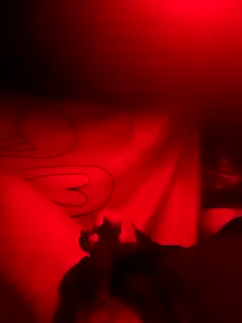 Snapshot of rayhot69 chatting on 12/23/24, 03:50 rayhot69 online show from 12/23/24, 03:50