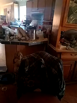 wilsons12 online show from 11/28/25, 08:09