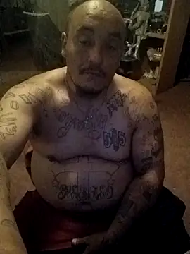 wilsons12 online show from 03/27/26, 08:26