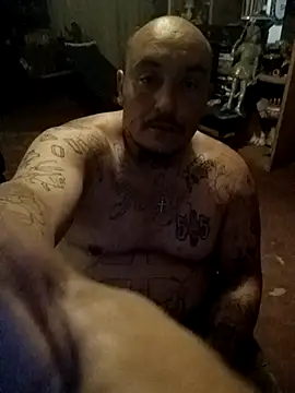 wilsons12 online show from 04/12/26, 04:38