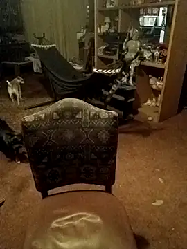 wilsons12 online show from 02/14/26, 11:10