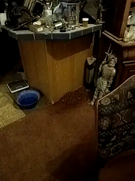 wilsons12 online show from 10/26/25, 03:07