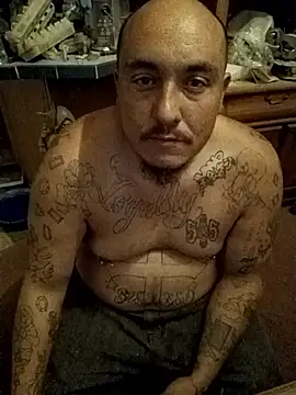 wilsons12 online show from 11/19/25, 05:29