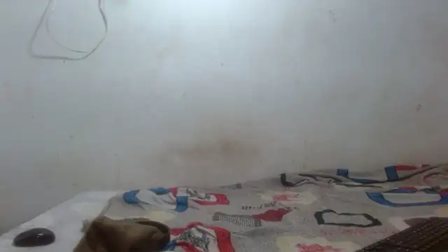 damian bottom bigcock online show from 02/16/26, 08:40