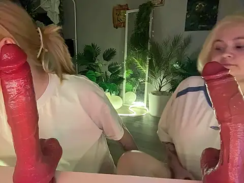 DaisyBooom online show from 02/19/26, 08:17