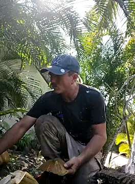 mexlog online show from 10/31/25, 05:09