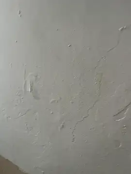 Popinasq online show from 11/15/25, 03:49