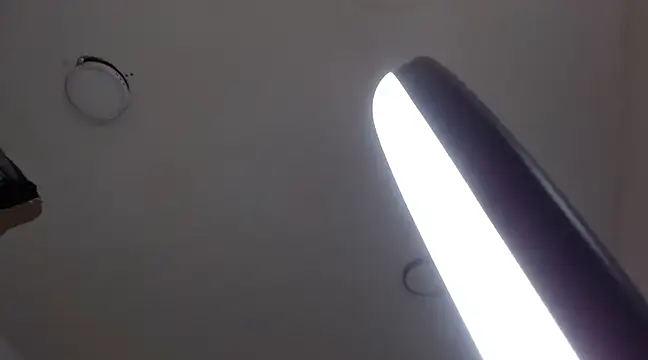 Snapshot of MurdockH chatting on 02/21/25, 09:02 MurdockH online show from 02/21/25, 09:02