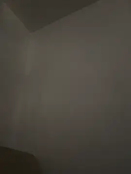 honeybrow online show from 03/02/25, 09:52