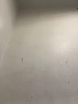 honeybrow online show from 01/08/25, 09:55