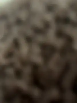 bumpinthat online show from 02/14/26, 12:11