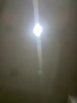 pawmistry online show from 03/05/26, 03:58