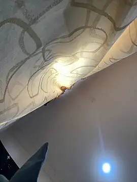 pawmistry online show from 12/16/25, 08:13