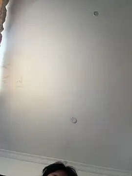 pawmistry online show from 04/13/26, 08:02