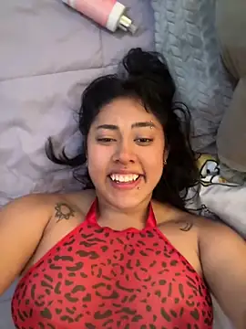 pawmistry online show from 04/08/26, 03:35