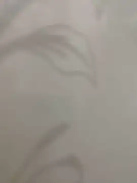 Snapshot of Sheik_z_o chatting on 11/16/25, 05:50 Sheik z o online show from 11/16/25, 05:50