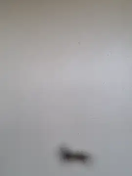 BriannaVincent online show from 01/07/26, 05:01