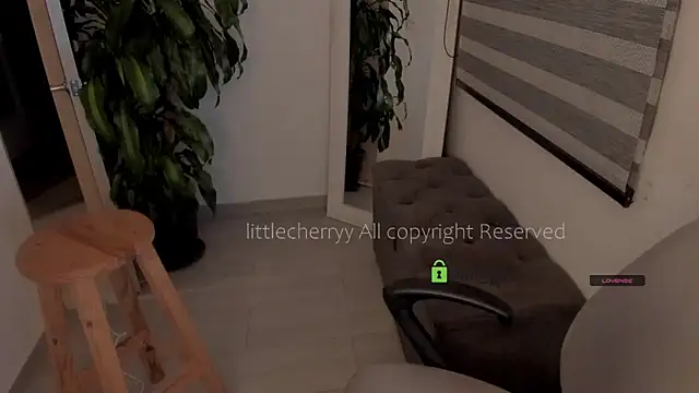 Snapshot of _littlecherryy_ chatting on 05/21/26, 03:48 littlecherryy online show from 05/21/26, 03:48