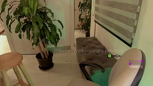  littlecherryy  online show from 12/21/25, 02:03