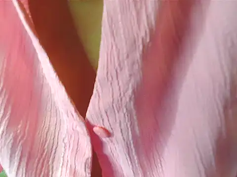 your Shanvi online show from 10/04/25, 07:59