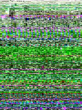 Snapshot of Shona5768 chatting on 11/20/25, 08:48 Shona5768 online show from 11/20/25, 08:48