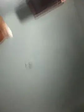 Snapshot of doll_celeste20 chatting on 09/26/25, 09:54 doll celeste20 online show from 09/26/25, 09:54