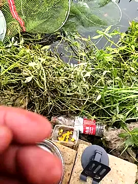 Snapshot of huzi518 chatting on 10/25/25, 03:38 huzi518 online show from 10/25/25, 03:38