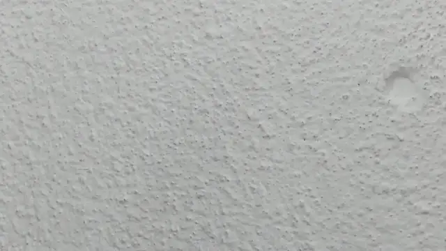 JESSYCORTES online show from 05/13/26, 11:34