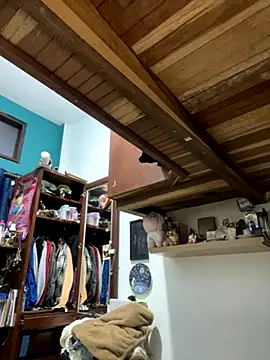 SophiaWeestt99 online show from 12/04/25, 04:11