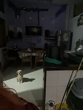 SophiaWeestt99 online show from 10/01/25, 01:44