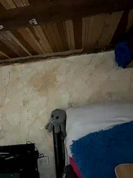 SophiaWeestt99 online show from 11/15/25, 02:15