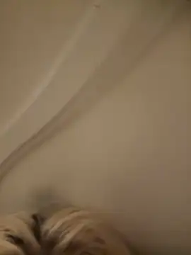 SirenitySirenxx online show from 09/23/25, 08:54