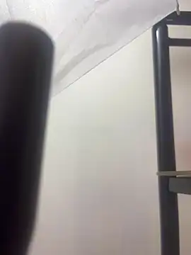 Snapshot of thiagowes chatting on 03/27/26, 03:37 thiagowes online show from 03/27/26, 03:37