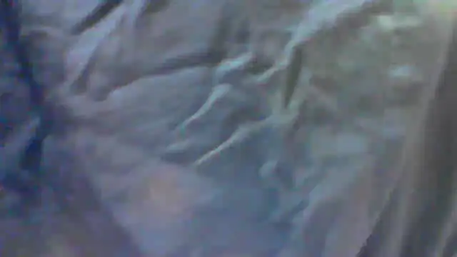 collage hoty online show from 09/24/25, 05:30