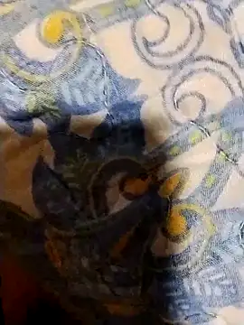 minitranca online show from 02/07/26, 08:17