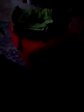 minitranca online show from 02/26/26, 09:59