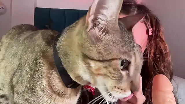 alice guerin  online show from 02/20/26, 06:19