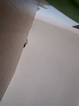 LargeDominoes online show from 04/03/26, 05:30