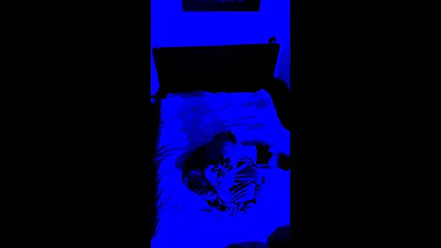 Snapshot of LuggiJack chatting on 02/28/26, 07:02 LuggiJack online show from 02/28/26, 07:02