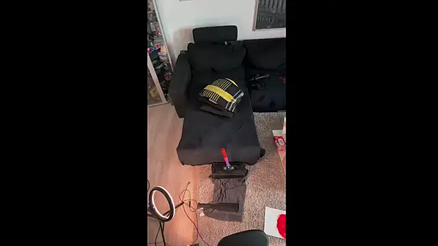 Snapshot of LuggiJack chatting on 02/22/25, 12:29 LuggiJack online show from 02/22/25, 12:29