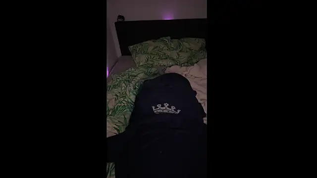 Snapshot of LuggiJack chatting on 01/30/25, 04:24 LuggiJack online show from 01/30/25, 04:24