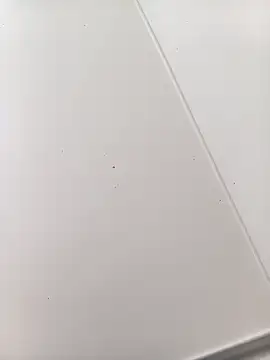 bbferlinaa online show from 03/21/26, 07:51